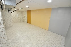 Image quality insufficient for description - 