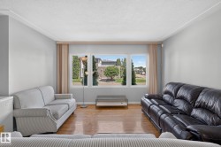 Bright living space featuring large windows, light gray wall paint, and wood-finish flooring - 