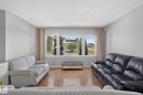 Bright living space featuring large windows, light gray wall paint, and wood-finish flooring - 12238 48 Street, Edmonton, AB 