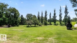 Expansive green space featuring mature trees and a clear sky - 