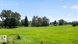 Expansive open field featuring lush green grass and a perimeter of mature trees - 