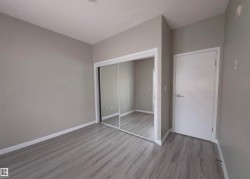 Neutral gray wall tones with white trim, wood-finish flooring, and mirrored closet doors - 