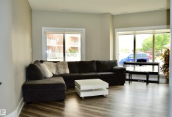 Spacious room featuring light gray walls, large windows, and contemporary wood-finish flooring - 
