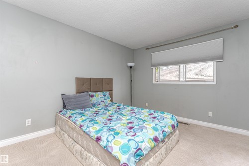 Light-colored carpeting and gray wall paint complement a window with a roller shade - 11512 24 Avenue, Edmonton, AB 