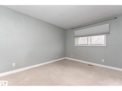 Spacious room featuring light grey walls, white trim, and patterned carpeting - 