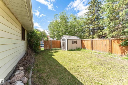 Expansive backyard featuring a manicured lawn, a detached storage shed with a shingled roof, and a perimeter wood fence - 11512 24 Avenue, Edmonton, AB 