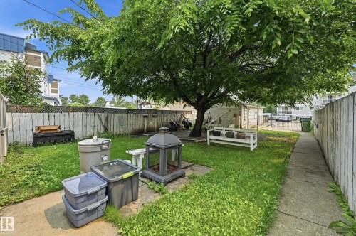 Expansive backyard featuring a mature shade tree, a white wood fence, and a concrete pathway - 11325 101 Street, Edmonton, AB 