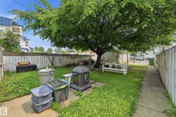 Expansive backyard featuring a mature shade tree, a white wood fence, and a concrete pathway - 