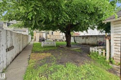 Expansive backyard with a mature shade tree, concrete pathway, and a perimeter privacy fence - 