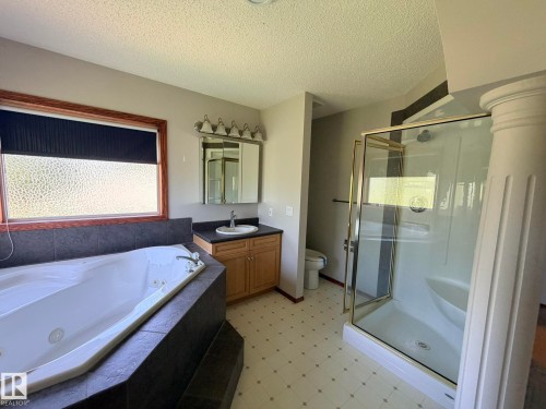 727 Balfour Close Nw, Edmonton, AB - Indoor Photo Showing Bathroom