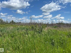 RR 205 Hwy 28 Rural Thorhild County, AB T0A 2V0