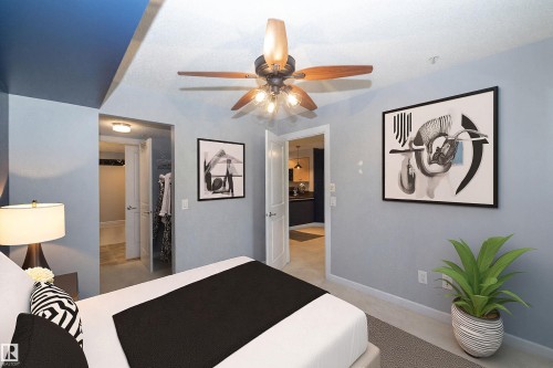 Bedroom featuring a ceiling fan with integrated lighting, light gray wall paint, and a distinctive blue accent ceiling - 208 3719 Whitelaw Lane, Edmonton, AB 