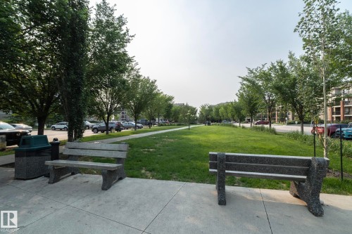 Expansive green space featuring a concrete pathway, mature trees, and granite-finish benches - 208 3719 Whitelaw Lane, Edmonton, AB 