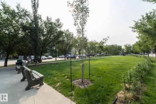 Expansive green space featuring a manicured lawn, established trees, and concrete benches - 208 3719 Whitelaw Lane, Edmonton, AB 