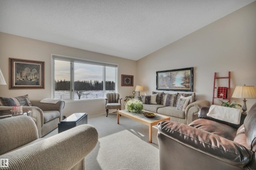 Living room with carpet, lofted ceiling, and a textured ceiling - A49375 Rr 243, Rural Leduc County, AB 