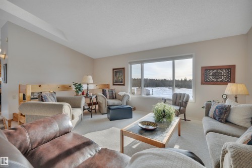 Carpeted living area with lofted ceiling and a textured ceiling - A49375 Rr 243, Rural Leduc County, AB 