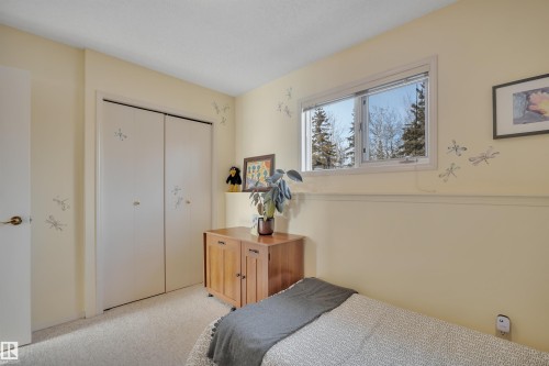 Bedroom with light carpet and a closet - A49375 Rr 243, Rural Leduc County, AB 
