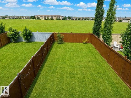 Expansive fenced backyard featuring a substantial lawn area and mature trees - 1806 28 Street Nw, Edmonton, AB 