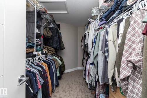 Walk-in closet featuring wire shelving, hanging rods, and carpet flooring - 2016 Redtail Common, Edmonton, AB 