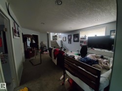 Image quality insufficient for description - 