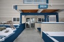 Building entrance featuring a covered walkway, glass doors, and a blue accent trim - 107, 2624 Millwoods Road East Nw, Edmonton, AB  - Outdoor With Exterior 