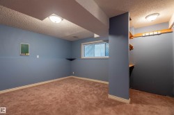 Carpeted room featuring blue walls, white trim, a built-in corner shelf, and a window with a security screen - 