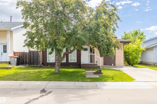 Exterior featuring a mature front yard tree, a well-maintained lawn, a concrete driveway, and a white-railed porch - 3 Glenforest Crescent, Stony Plain, AB 