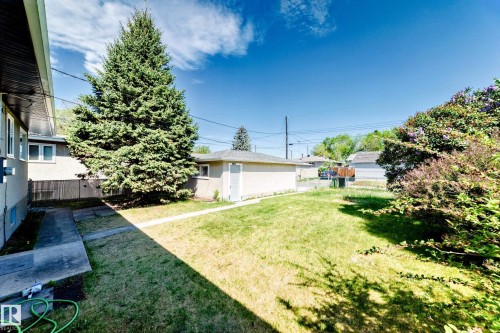Expansive backyard featuring a large evergreen tree, a detached garage, and a concrete pathway - 4842 116Ave, Edmonton, AB - Outdoor