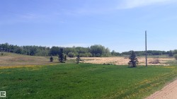 Expansive land featuring a mix of grassy areas and natural foliage - 