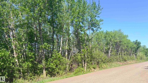 Roadside property featuring a dense tree line with varied foliage - 458 20212 Twp Road 510, Rural Strathcona County, AB 