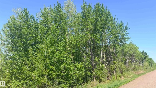 Image quality insufficient for description - 458 20212 Twp Road 510, Rural Strathcona County, AB 
