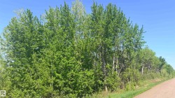 Image quality insufficient for description - 