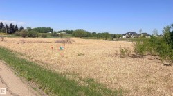Expansive undeveloped parcel featuring a clear, open field with interspersed green foliage and distant mature trees - 