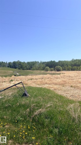 Expansive rural landscape featuring a mix of green and golden fields, bordered by a dense line of mature trees - 458 20212 Twp Road 510, Rural Strathcona County, AB 