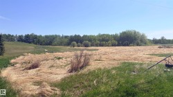 458 20212 TWP ROAD 510 Rural Strathcona County, AB T8G 1E8