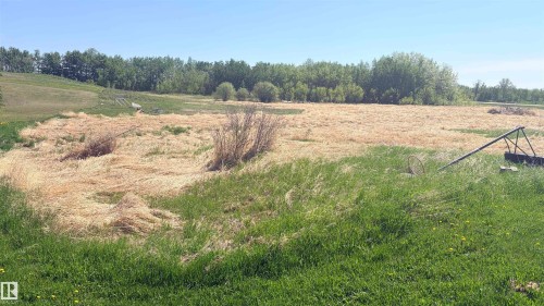 Expansive property featuring varied terrain with sections of green and dried grasses, bordered by a dense tree line - 458 20212 Twp Road 510, Rural Strathcona County, AB 