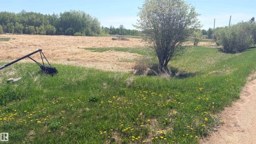 Expansive rural landscape featuring a mix of green grass and dried fields, mature trees, and a dirt road - 458 20212 Twp Road 510, Rural Strathcona County, AB 