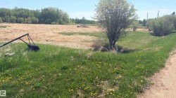 Expansive rural landscape featuring a mix of green grass and dried fields, mature trees, and a dirt road - 