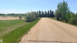 Paved roadway with a gentle curve, bordered by mature trees and natural shrubbery - 