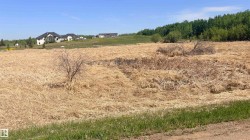 Expansive land parcel featuring natural grasses and mature tree lines - 