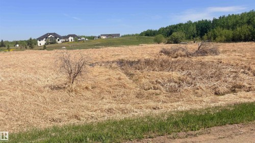 Expansive field featuring natural dry vegetation and distant residential structures - 458 20212 Twp Road 510, Rural Strathcona County, AB 