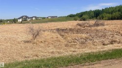 Expansive field featuring natural dry vegetation and distant residential structures - 