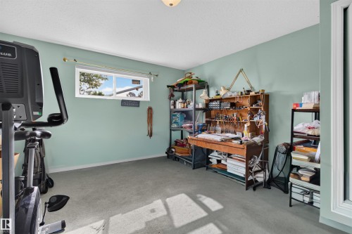 6000 54 Avenue, Camrose, AB - Indoor Photo Showing Gym Room