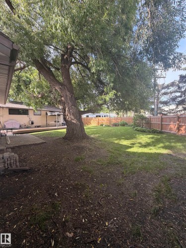Expansive backyard featuring a large established tree, a manicured lawn, and a privacy fence - 8 Savoy Place, St. Albert, AB 