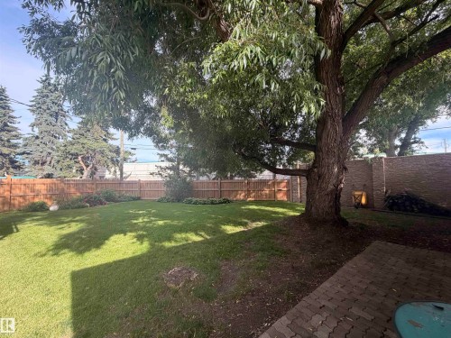 Spacious backyard featuring a substantial mature tree providing natural shade - 8 Savoy Place, St. Albert, AB 