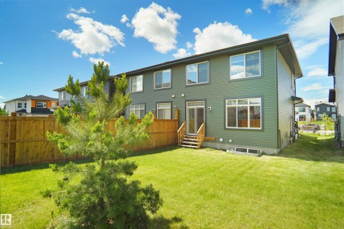 Expansive green lawn with a young evergreen tree - 8523 Mayday Run, Edmonton, AB 