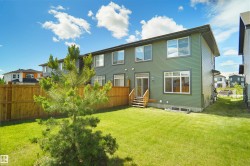 Expansive green lawn with a young evergreen tree - 