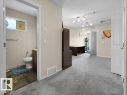 Central hallway with light-toned walls and grey carpeting - 