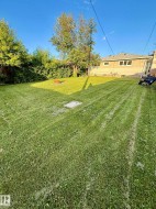 Expansive rear yard featuring a large grass area, mature perimeter trees, and a fire pit - 