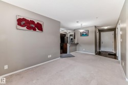 Open-concept living area with neutral carpeting and warm gray walls - 